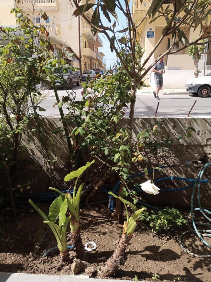 Hrysanthl Chrissi Akti Chania Exterior foto
